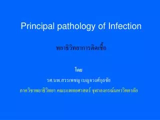 principal pathology of infection