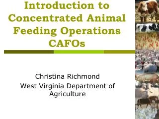 Introduction to Concentrated Animal Feeding Operations CAFOs