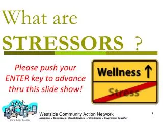 PPT - Forest Stressors Introduction PowerPoint Presentation, free ...