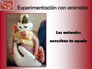 experimentaci n con animales