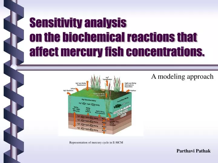 sensitivity analysis on the biochemical reactions that affect mercury fish concentrations