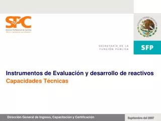 Instrumentos de Evaluación y desarrollo de reactivos Capacidades Técnicas
