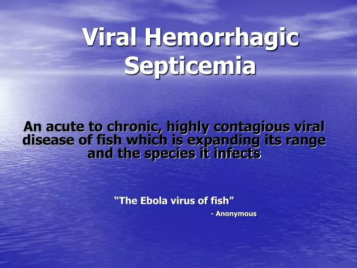 viral hemorrhagic septicemia