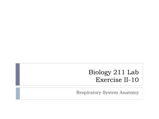 LAB Exercise II-10 Respiratory System Anatomy