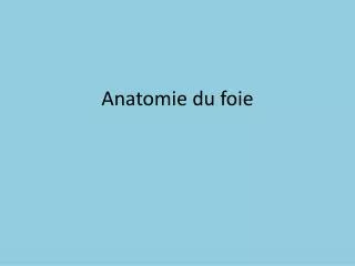 anatomie du foie