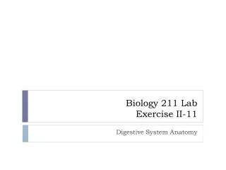 LAB Exercises II-11 Digestive System Anatomy