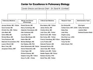 Center for Excellence in Pulmonary Biology
