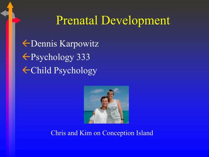 prenatal development