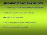NEGATIVE STRAND RNA VIRUSES - slide 1