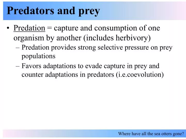 predators and prey