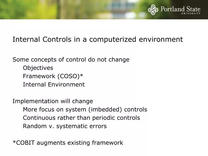 internal controls in a computerized environment