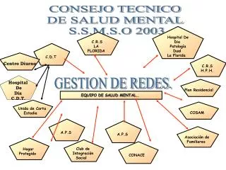 CONSEJO TECNICO DE SALUD MENTAL S.S.M.S.O 2003