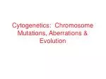 Cytogenetics: Chromosome Mutations, Aberrations &amp; Evolution - slide 1