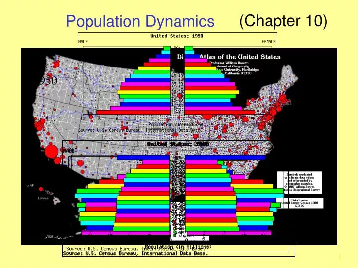 population dynamics