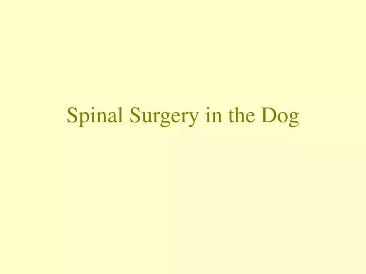 spinal surgery in the dog