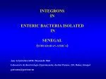 INTEGRONS IN ENTERIC BACTERIA ISOLATED IN SENEGAL ( SUBSAHARAN-AFRICA ) - slide 1