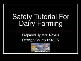 Safety Tutorial For Dairy Farming