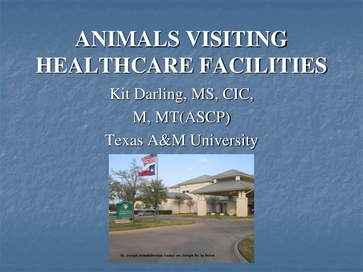 animals visiting healthcare facilities