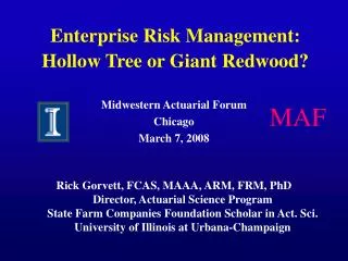 Enterprise Risk Management: Hollow Tree or Giant Redwood?