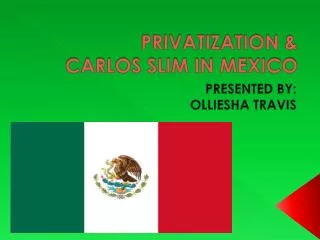 PRIVATIZATION &amp; CARLOS SLIM IN MEXICO