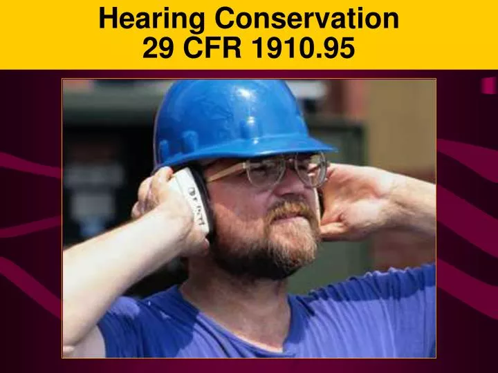 hearing conservation 29 cfr 1910 95