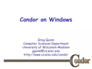 Condor on Windows