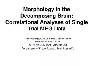 Morphology in the Decomposing Brain: Correlational Analyses of Single Trial MEG Data