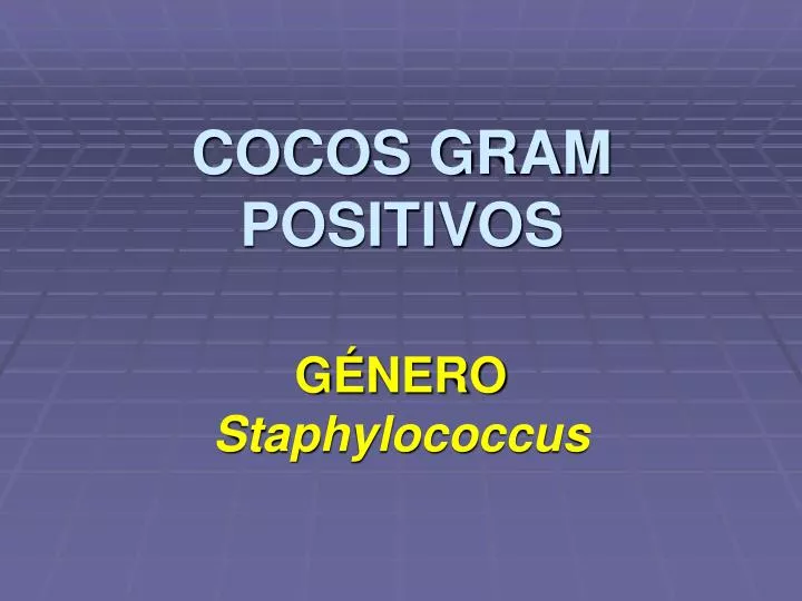 cocos gram positivos