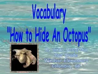 Vocabulary &quot;How to Hide An Octopus&quot;