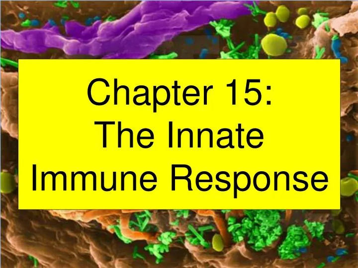 chapter 15 the innate immune response