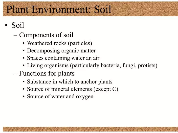 plant environment soil