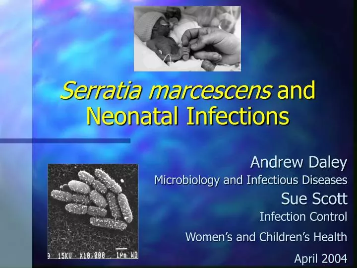 serratia marcescens and neonatal infections