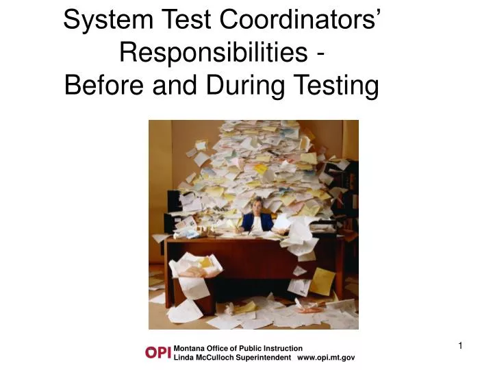 system test coordinators responsibilities before and during testing