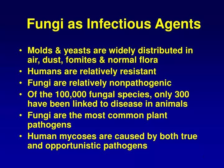 fungi as infectious agents