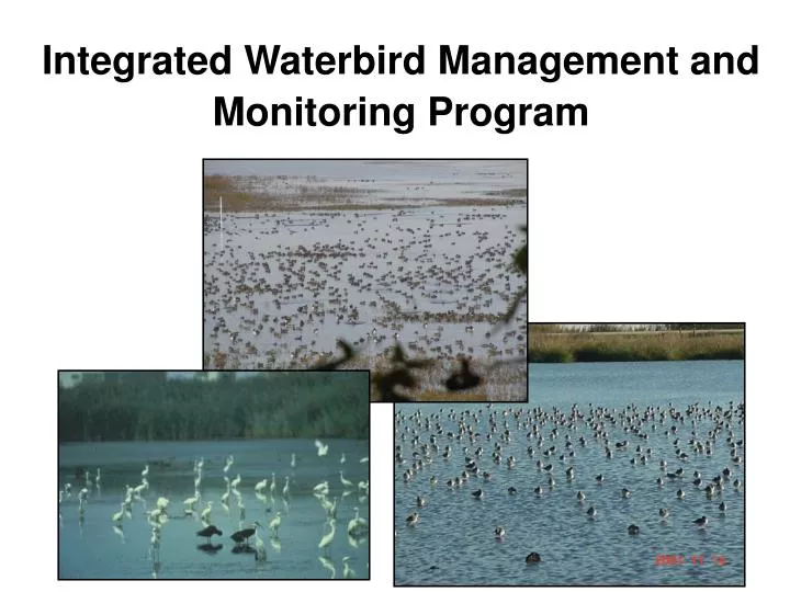 integrated waterbird management and monitoring program