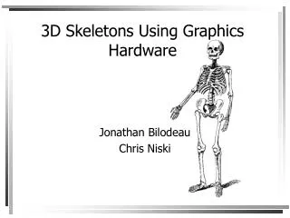 3D Skeletons Using Graphics Hardware