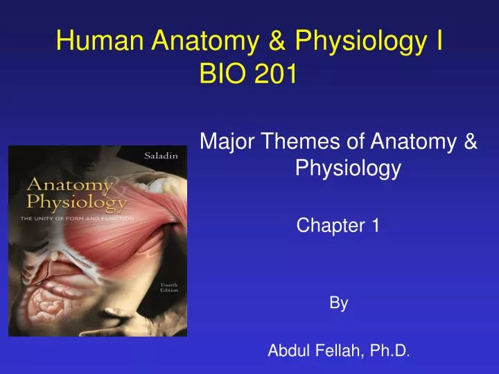 human anatomy physiology i bio 201