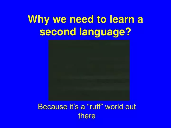 why we need to learn a second language