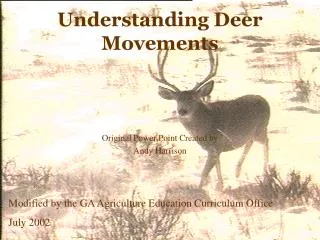 Understanding Deer Movements