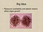 Big Idea - slide 1