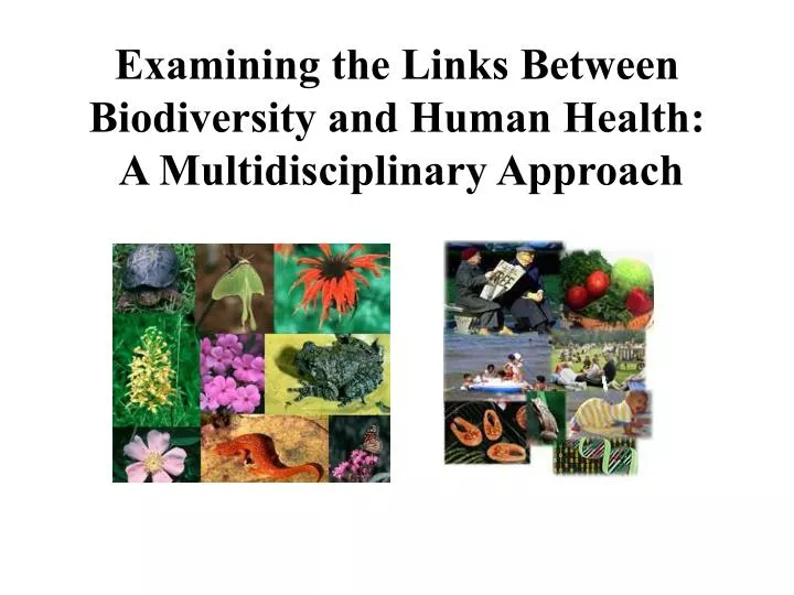 examining the links between biodiversity and human health a multidisciplinary approach