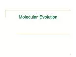 Molecular Evolution - slide 1