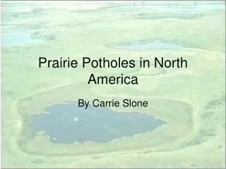 Prairie Potholes in North America
