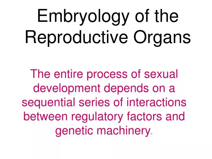 embryology of the reproductive organs