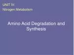 PPT - # 1 Amino Acid Metabolism PowerPoint Presentation, Free Download ...