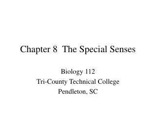 Chapter 8 The Special Senses