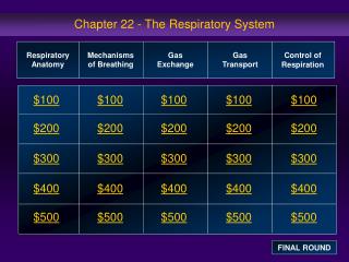 Chapter 22 - The Respiratory System