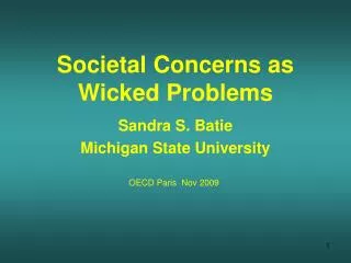 Societal Concerns as Wicked Problems