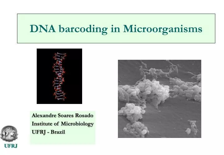 dna barcoding in microorganisms