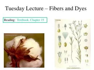 Tuesday Lecture – Fibers and Dyes